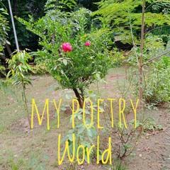 Where I  am
