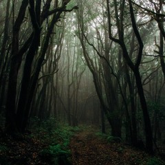 An Ill Fated Trip
