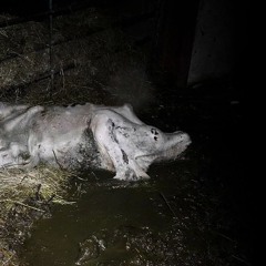 ɑղɑԵհҽʍҽ 🙏