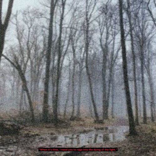 Fall/ForU (prod. mynameismxnc & syle)