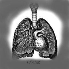 LUNGS