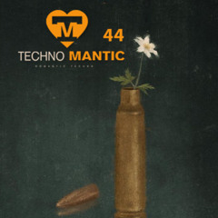 Echoes from the Chamber (Techno Mantic 44)