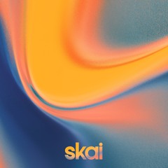 Into The Sun (Extended Mix)