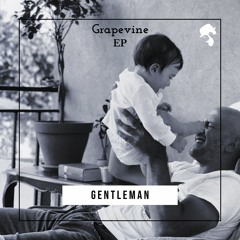Gentleman - My Beats (Original Mix)