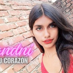 Dame tu Corazón