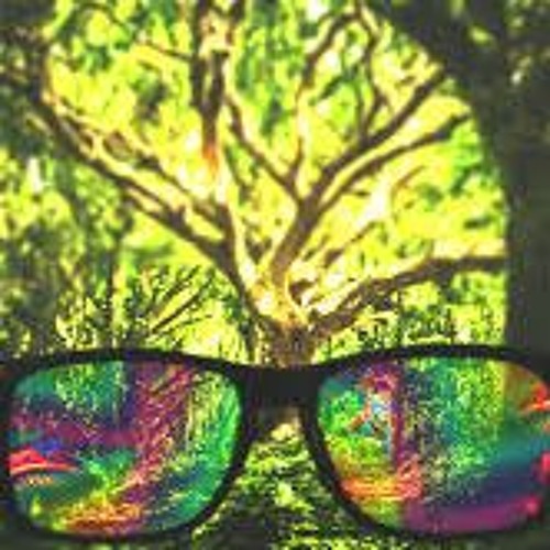 Magical Green Forest