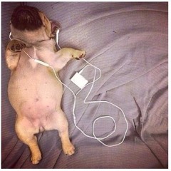 hey hardy [prod. aquakiddy]