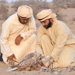 ‎⁨شل غشاه - ميحد حمد⁩