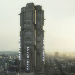 new-t/k - lalitheK1D