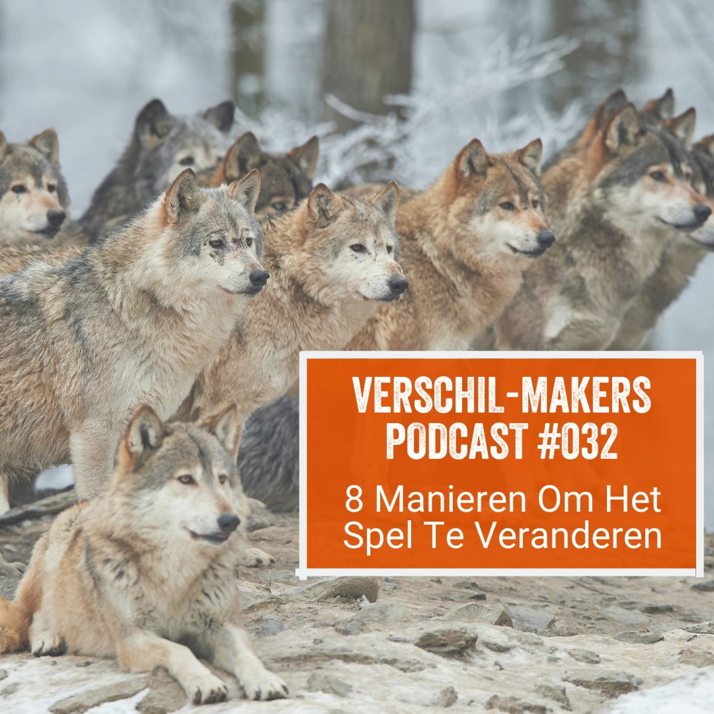 Verschil-Makers Podcast