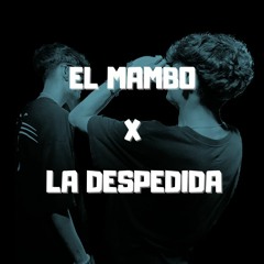 El Mambo x La Despedida DJ Twins mashup
