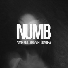 Yann Muller & Viktor Mora - Numb