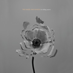 I Kill Giants (Big Black Delta Remix)