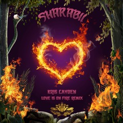 Kris Cayden - Love Is On Fire (Sharabii Remix)