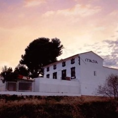 mix animalaes - lose control