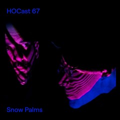 HOCast #67 - Snow Palms