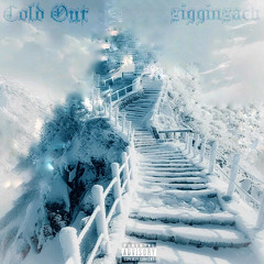 Cold Out (prod n3lly)