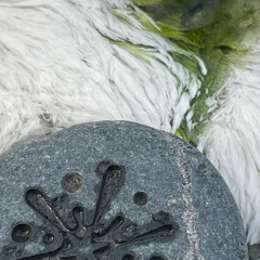 after ______. ep. ii: cabin fever || grizzly mike