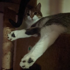 the art of letting go.mp3