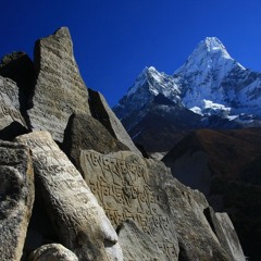 everything u are + clubdiaries