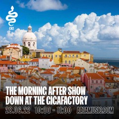 The Morning After Show : Down at the Gigafactory - Aaja Channel 2 - 28 06 22