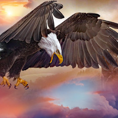 Eagle 252 (2025)