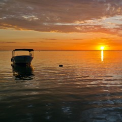 Mauritius House Mix March 2025