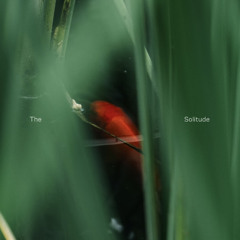 The Solitude