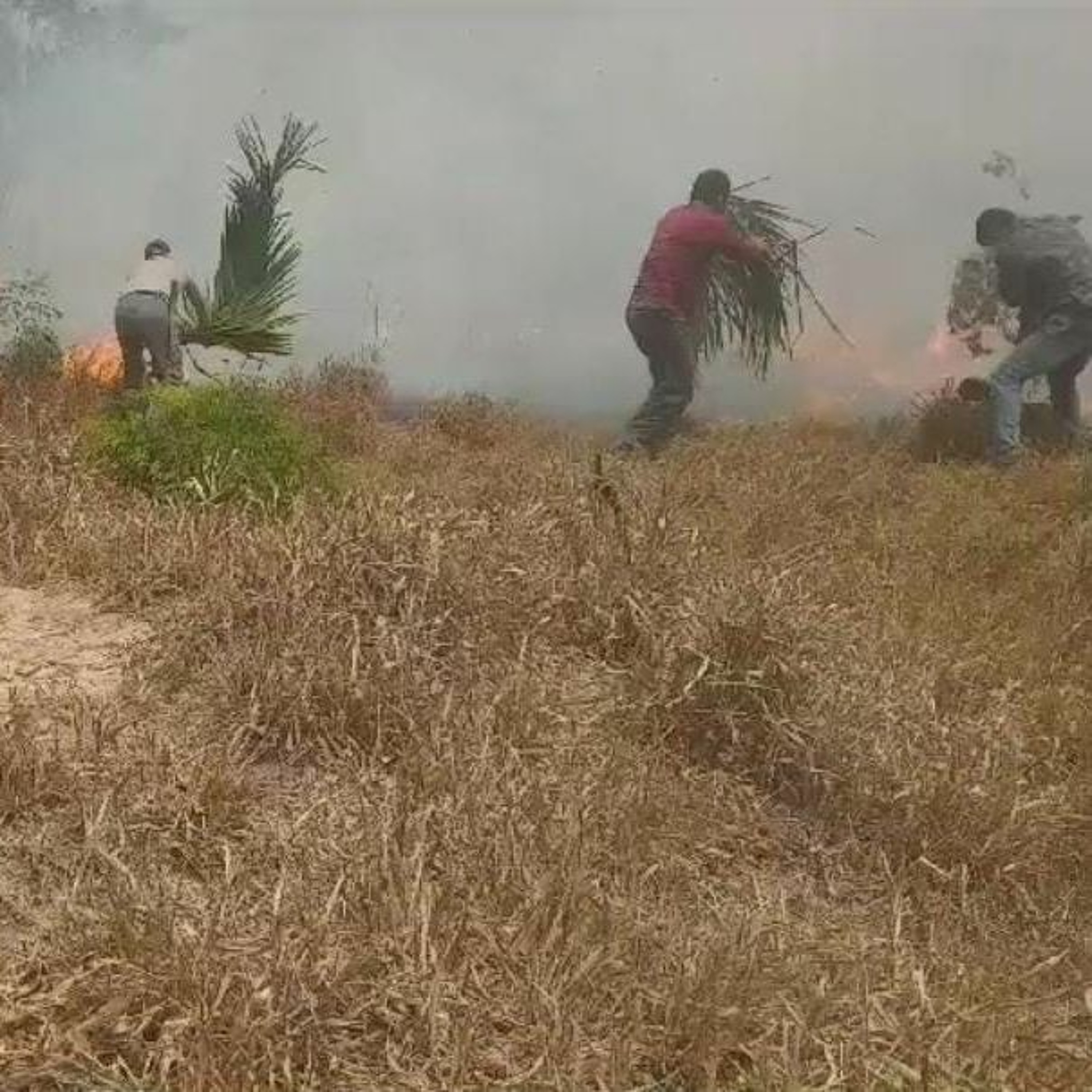 Alô Comunidade 06/10/23: Incêndio na Resex mobiliza brigadistas e comunitários