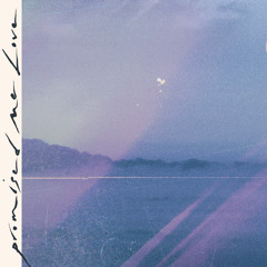 Promised Me Love (feat. Joy Spheres Rees)