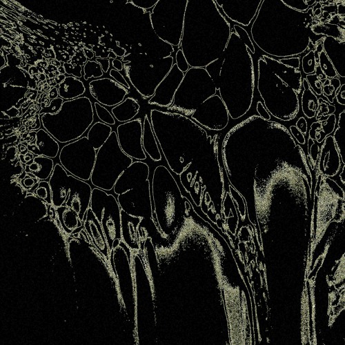 𝙐𝙕 𝙋𝙧𝙚𝙢𝙞𝙚𝙧𝙚: IREN - Aconit