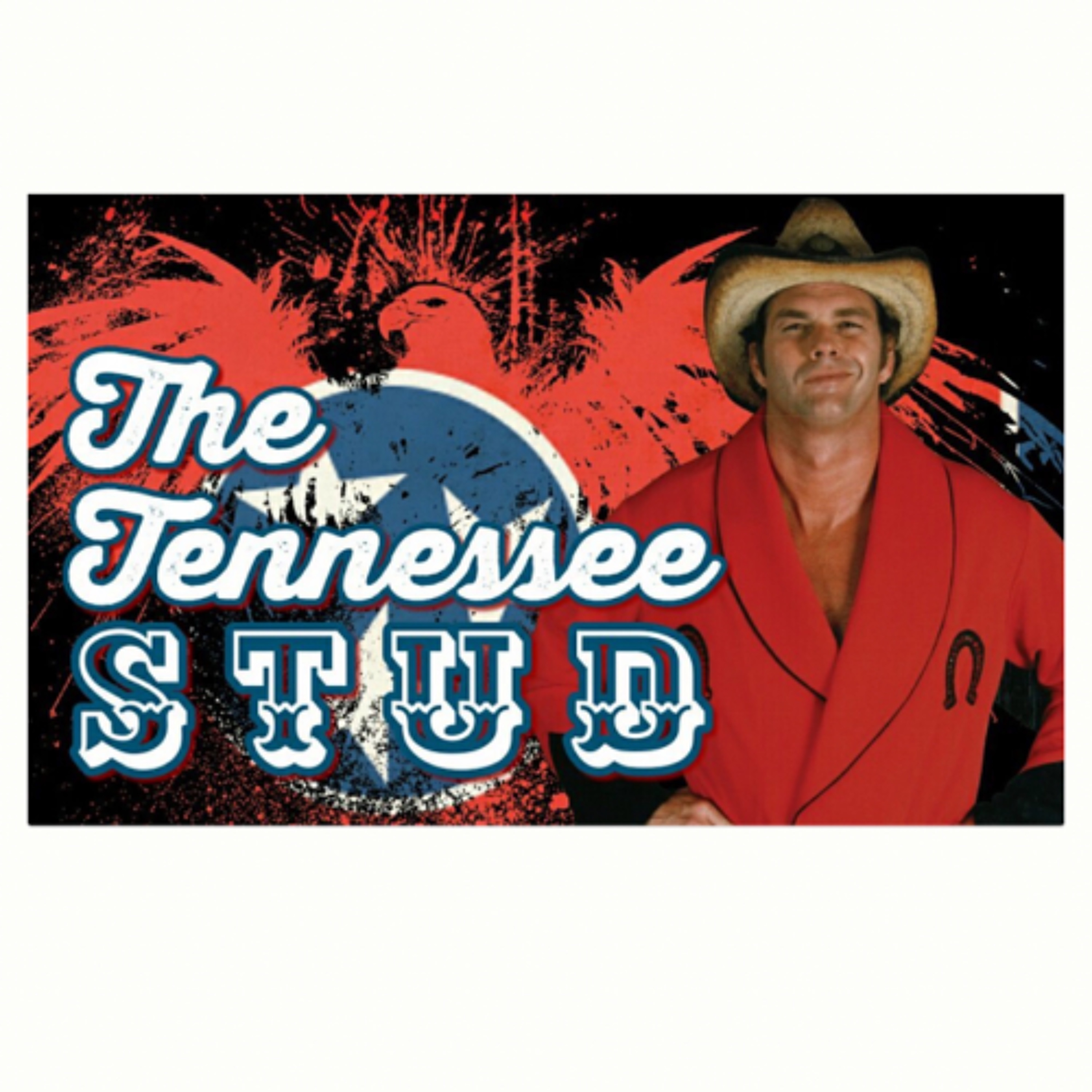 Ron Fuller\'s Studcast