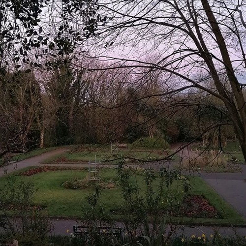 Prestwich Clough Dawn Chorus