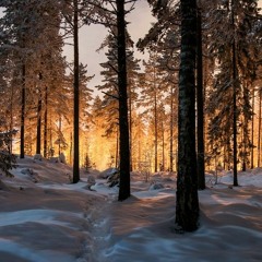 Winter Solstice [Free Download]