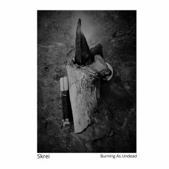 Skrei - O.r.O. Feat. Saahiwa