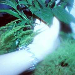 chute