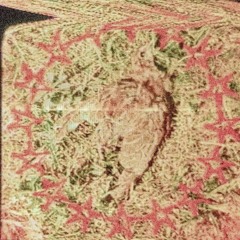 BIRDS EP