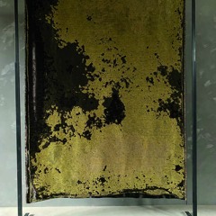 SYMBIOSIUM_Audioguide : Annemarie Maes - Microbial Ancestors