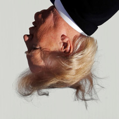 FUCK DONALD TRUMP HOUSE REMIX FDT (eating the dogs)