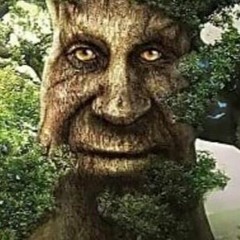 Kijin Feat. СЕРЕГА ПИРАТ - Lambo