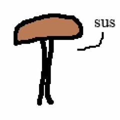 funny mushroom - ceres x wonton
