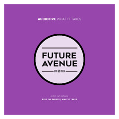 Audiofive - What It Takes [Future Avenue]