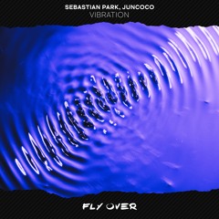 Sebastian Park, JUNCOCO - Vibration (Radio Mix)