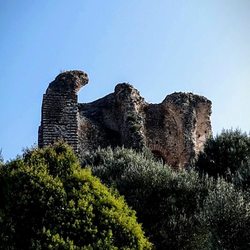 The Ancient Ruin
