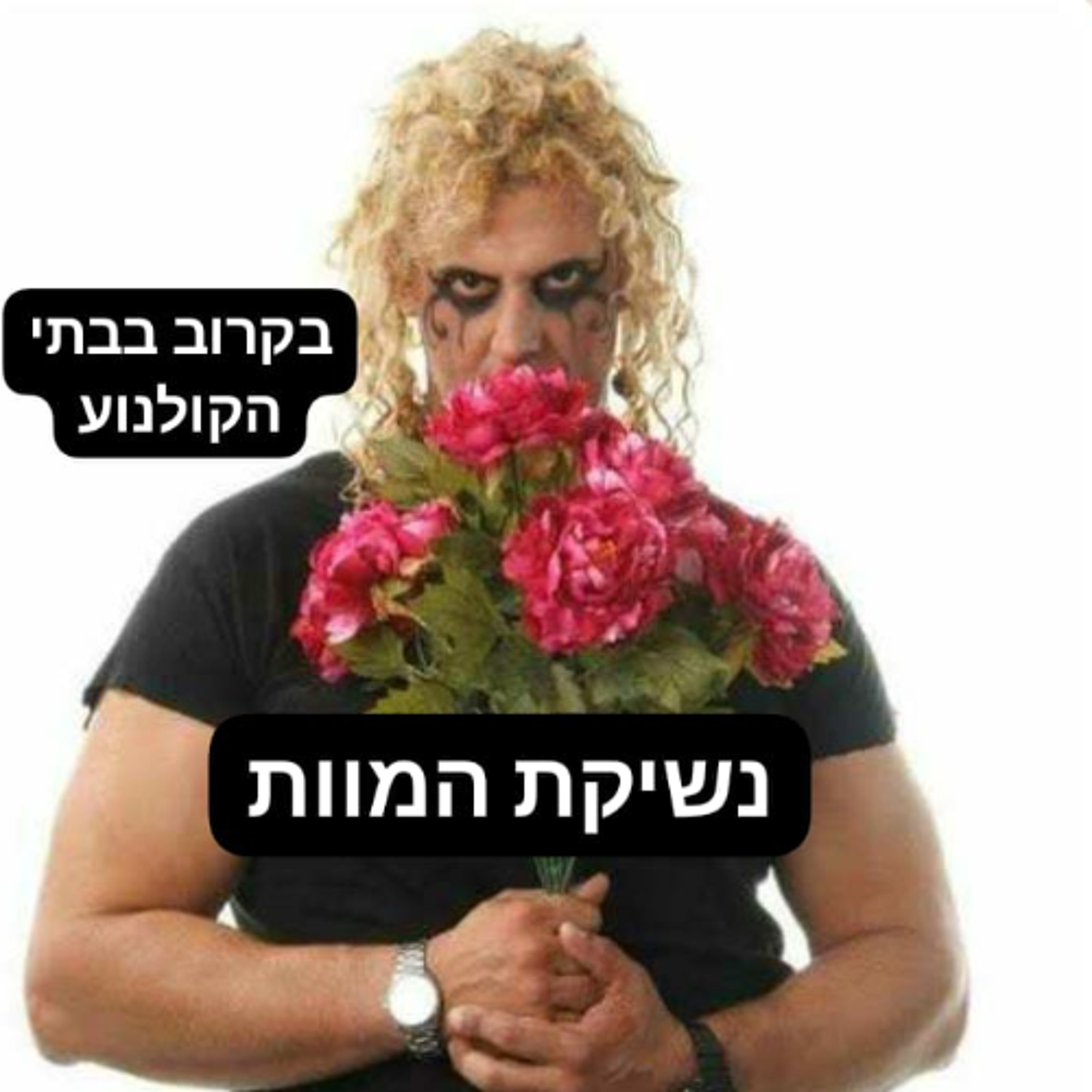 Latin flowers - פרחים לטינים episode artwork