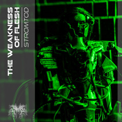 The Weakness Of Flesh (Original Mix)