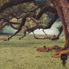 Earendel Pic Nic