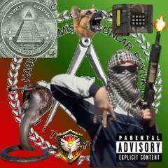 CO-BRA (prod. Kubsy)