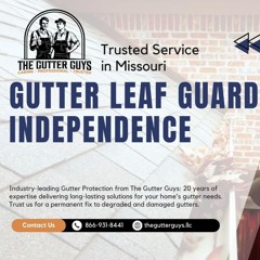The Gutter Guys - Gutter Leaf Guards Independence