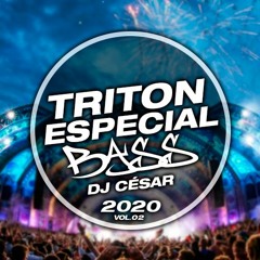Triton Bass - 18
